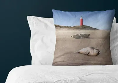 Texel Sierkussen 